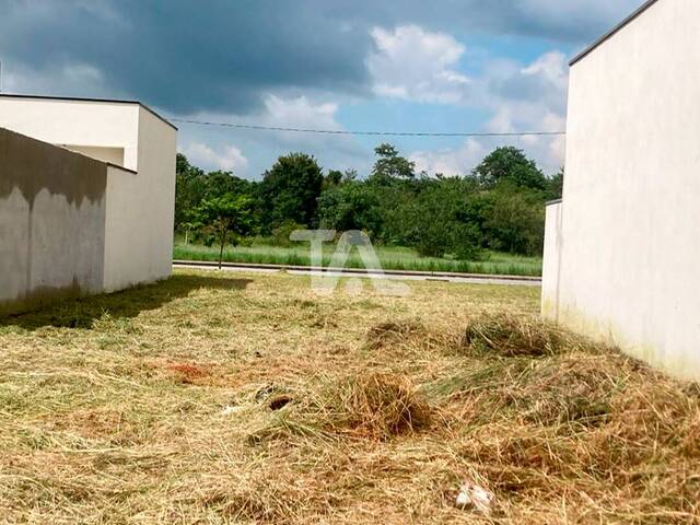 #167 - Área para Venda em Pindamonhangaba - SP - 1